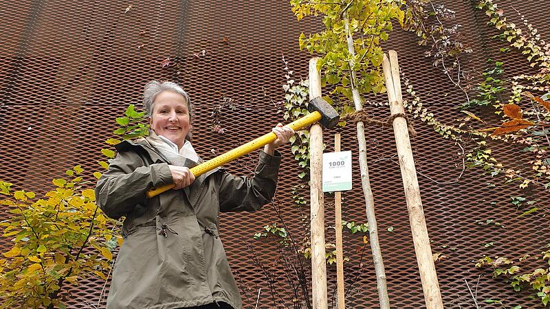 Beim Taborland wurden für besseres Stadtklima 83 neue Bäume gepflanzt