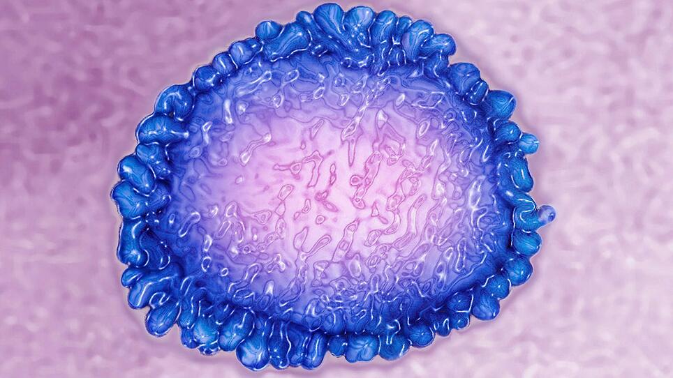 Nach Erbgutanalyse: "Coronavirus ist durch natürliche Prozesse entstanden"