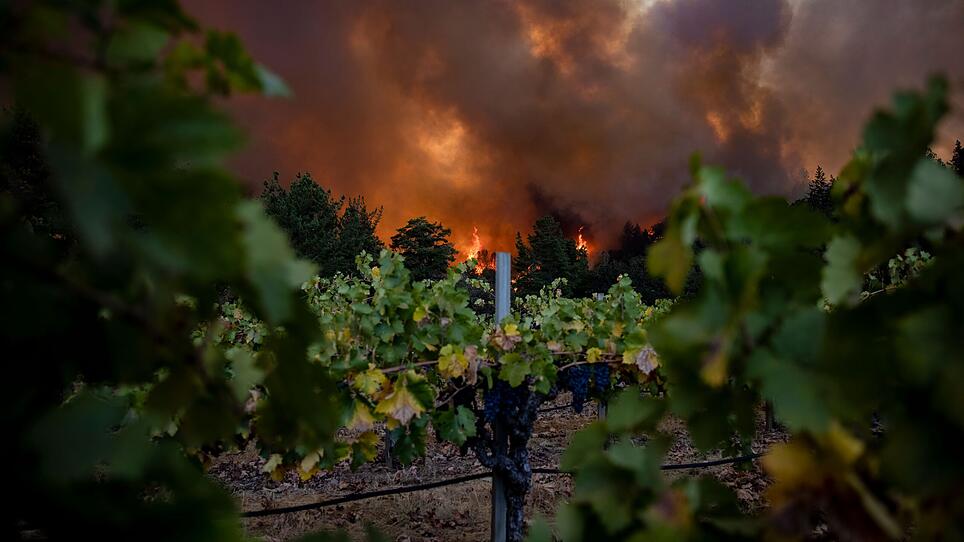 7 Kalifornien Waldbrände