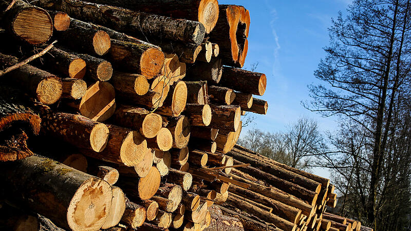 Sägeindustrie holt mehr Holz aus den heimischen Wäldern