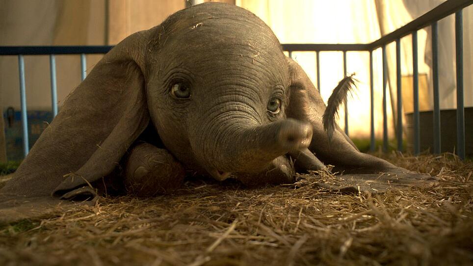 Ein süßer Babyelefant macht keinen ganzen Film