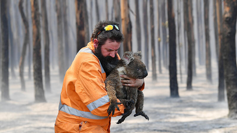 Australien Buschfeuer