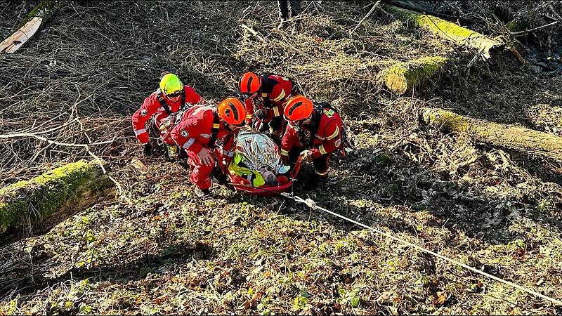 62-year-old injured in forestry accident in Innviertel