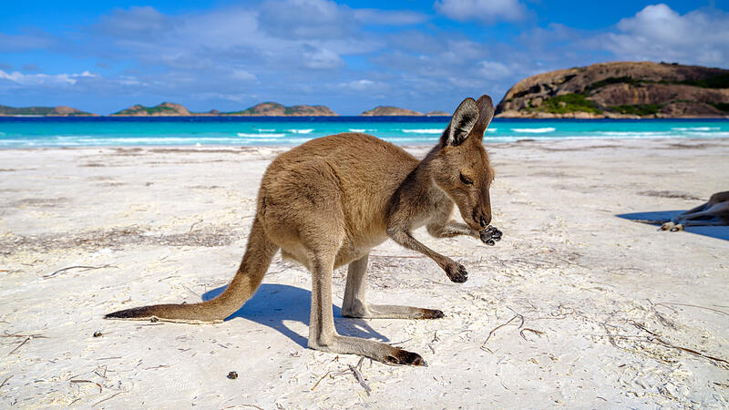 Der schönste Strand der Welt liegt in Westaustralien