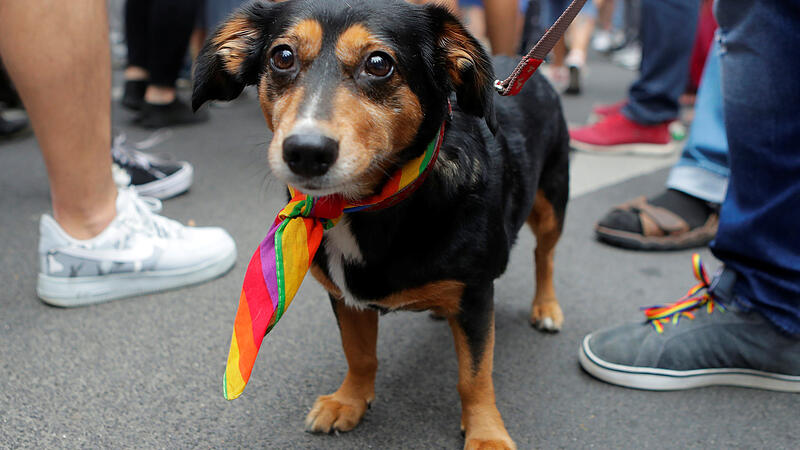 Die schrillsten Bilder von der Regenbogenparade in Wien