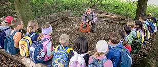 Grünes Klassenzimmer: Im Wald vom Wald lernen