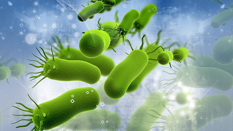 Bakterielle Infekte als häufige Todesursache