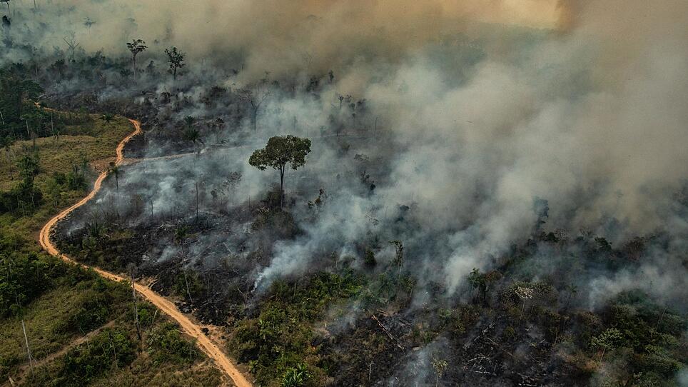 Brände Brasilien
