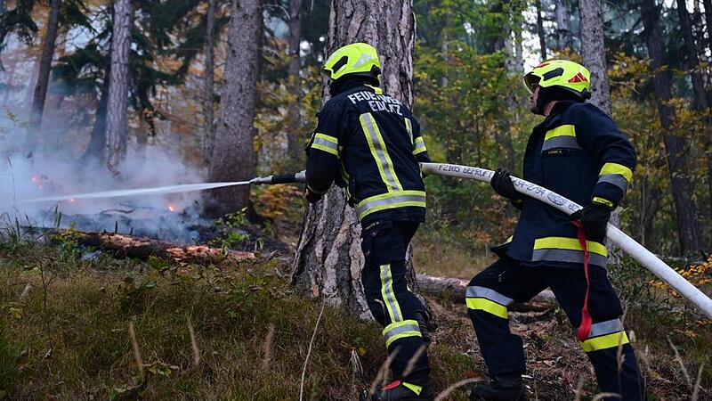 Satelliten helfen bei der Waldbrandbekämpfung