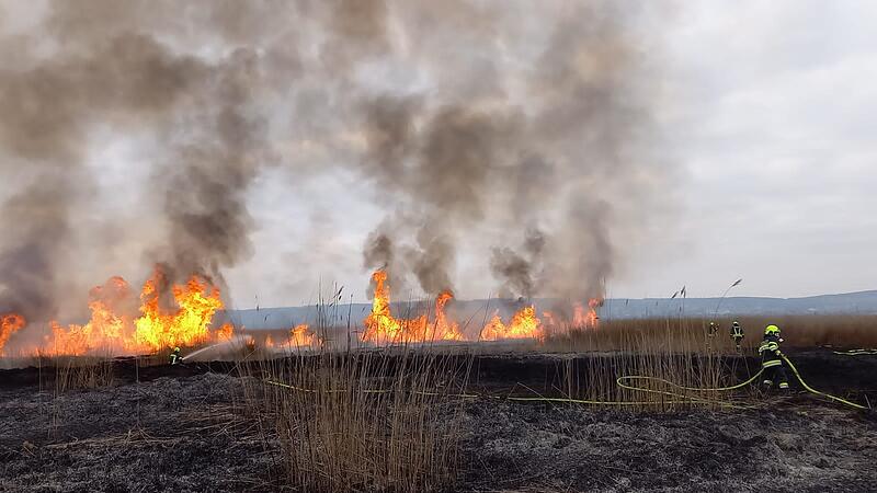 Big reed fire at Lake Neusiedl
