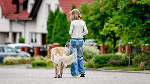Hundehaltegesetz: "Hohe Belastung für Tierheime"