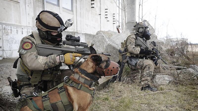 Soldat von Hunden getötet: "Das ist uns unerklärlich"