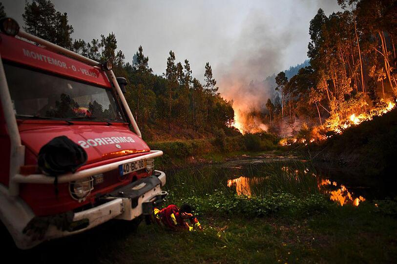 Verheerende Waldbrände in Portugal