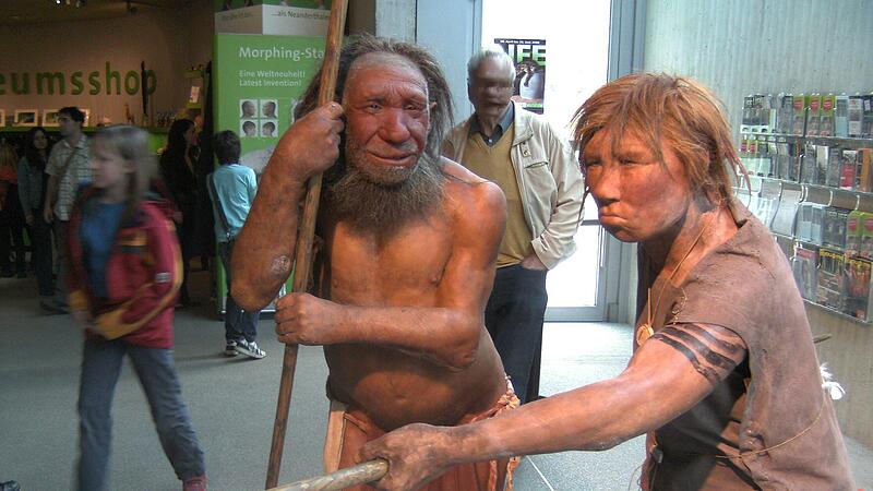 Erneut eine Antwort weniger, warum Neandertaler ausgestorben sind