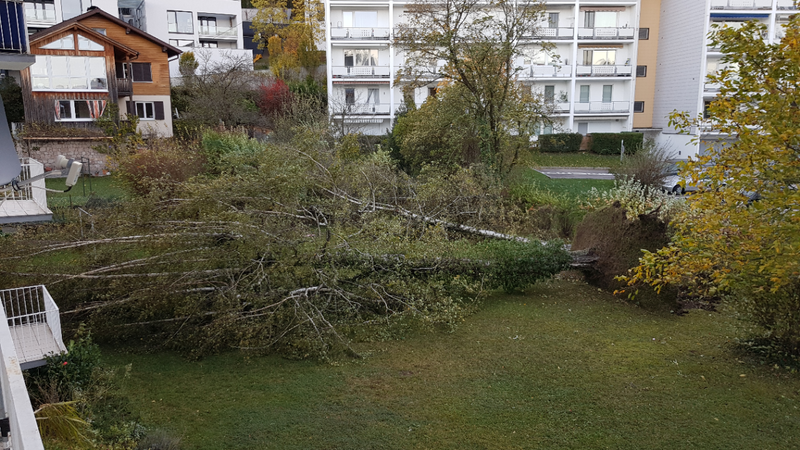 Schwere Sturmschäden in Oberösterreich
