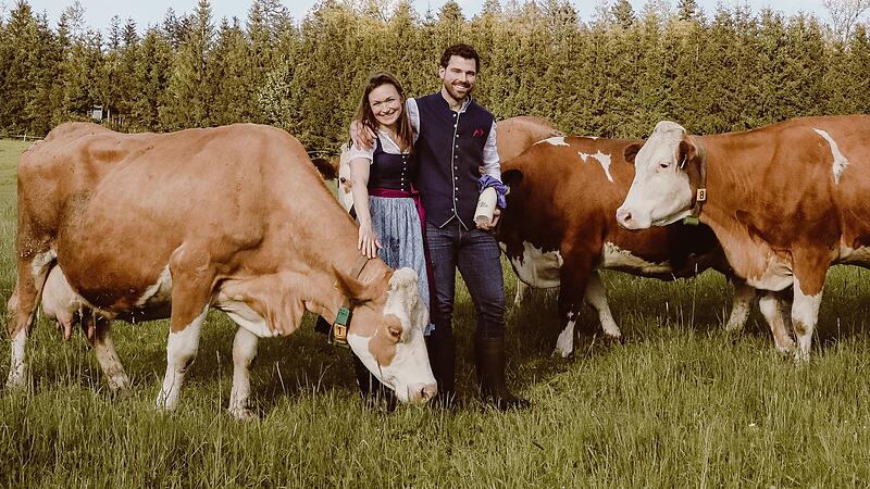 Österreich-holländische Leidenschaft, glückliche Kühe und Milchautomaten