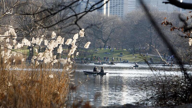 Platz 1: Central Park in New York City