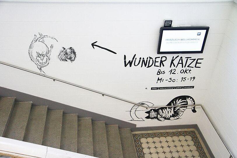 "Wunder Katze" - Ausstellung in Wels