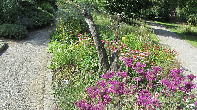 Kräutergarten in Klaffer wieder für Besucher offen