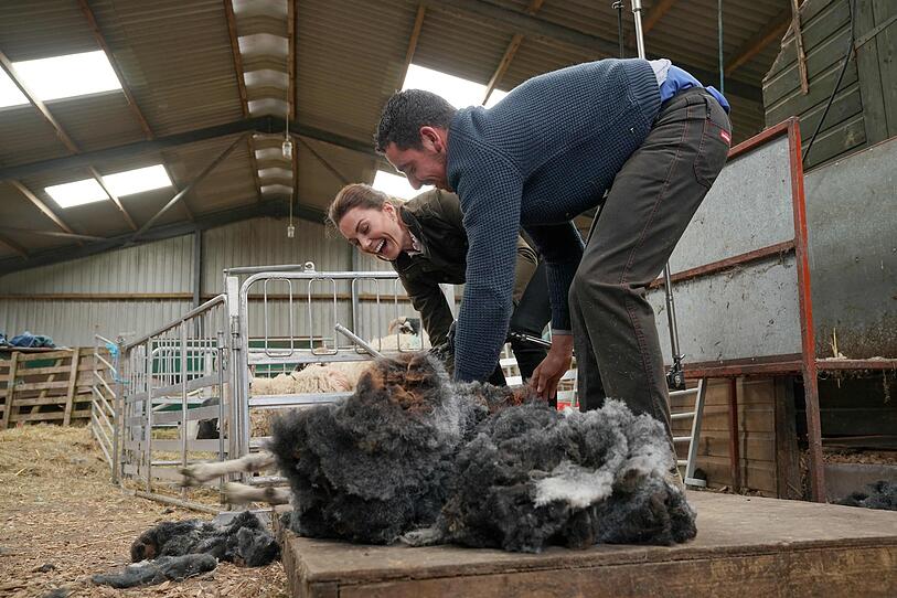 Kate und William beim Schafescheren
