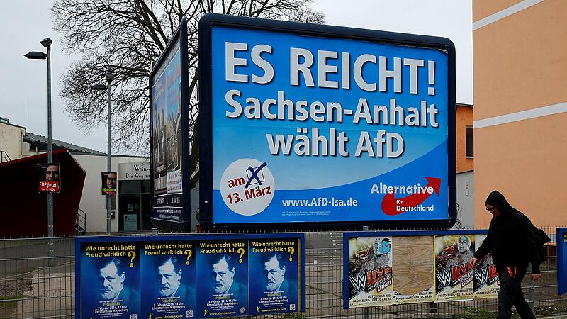 AfD Sachsen-Anhalt