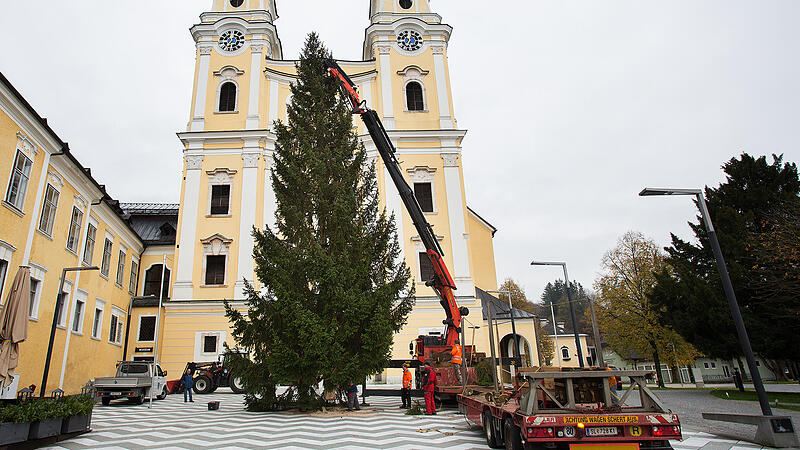 Staunen bei Touristen: "Oh, it&rsquo;s the Christmas tree"