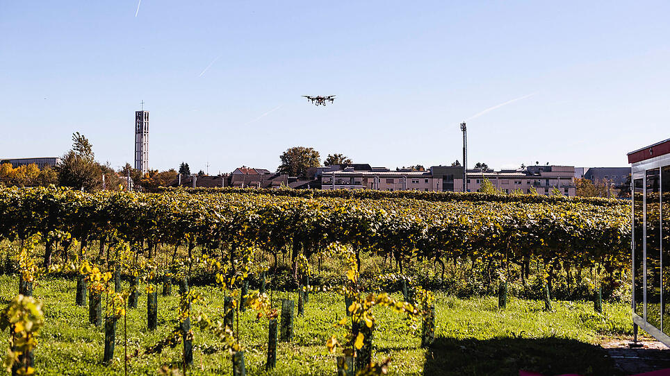 Wie Drohnen die Landwirtschaft smarter machen