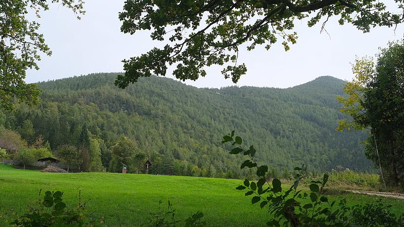 Forest mountains high above Weyer