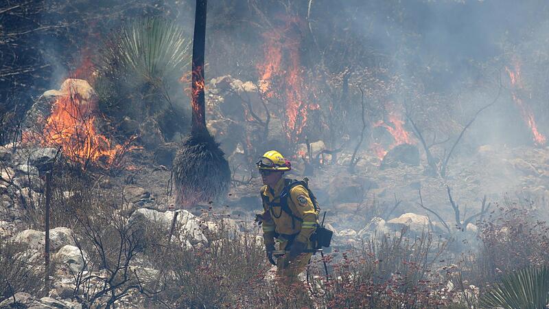 Kalifornien Waldbrände Waldbrand
