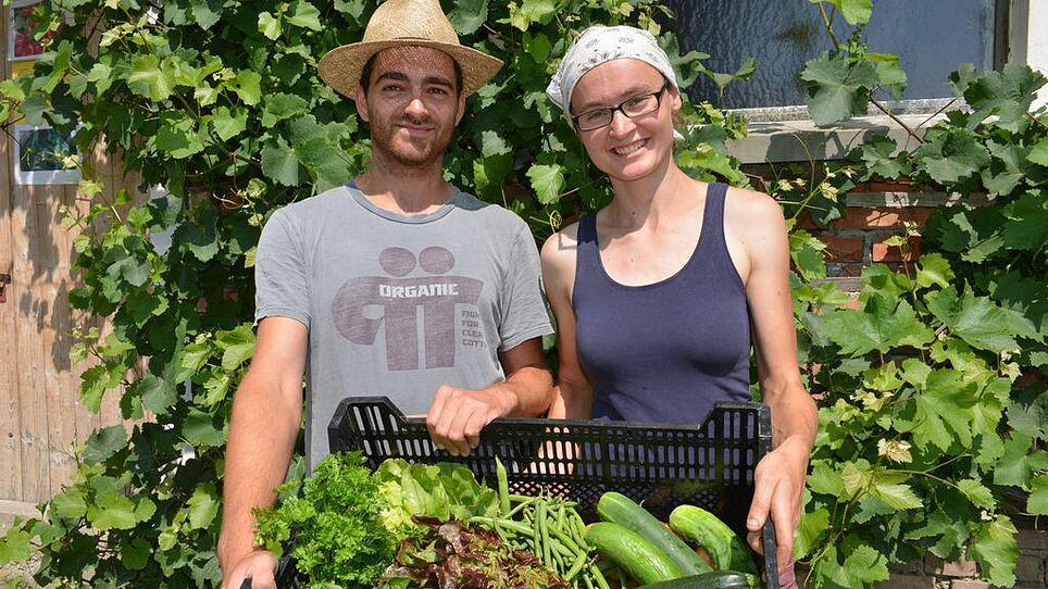 Kunden teilen sich die Gemüse-Ernte einer kleinen Bio-Landwirtschaft