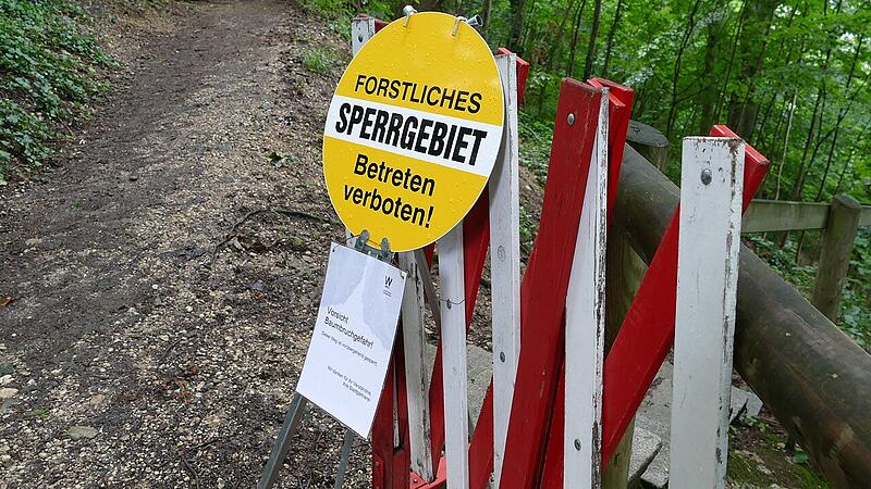 Wege am Reinberg als Sperrgebiet 50 kranke Bäume müssen gefällt werden