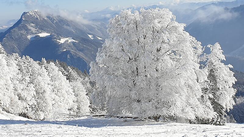 Die schönsten Seiten des Winters in der Region