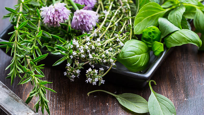 Kitchen herbs: Most of them are contaminated with pesticides