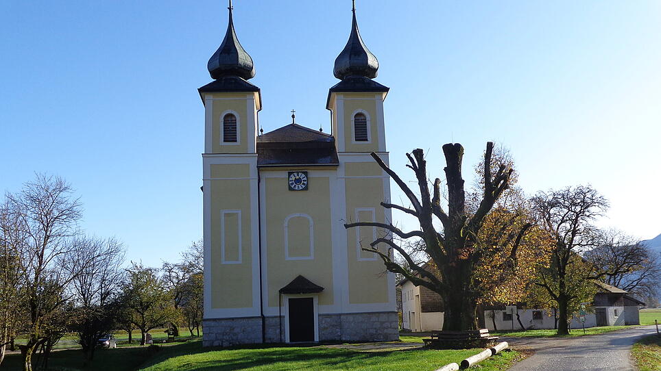 St. Lorenz trauert um die Kirchenlinde Bevölkerung fordert eine Neupflanzung