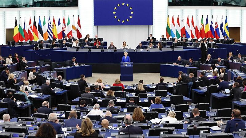 Das EU-Parlament: Sieben "Lager", von pro-europäisch bis EU-kritisch