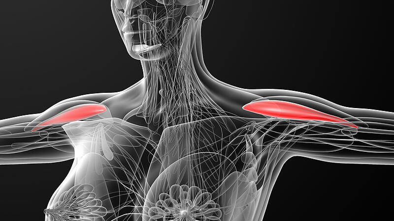 Neuer 3D-Körperscanner für Brust-OPs