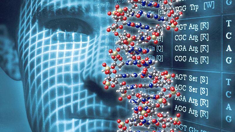 Forscher identifizierten die DNA-Reparaturwerkzeuge