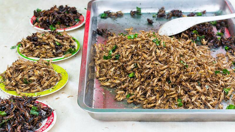 Fried insects are regional  Thailand...