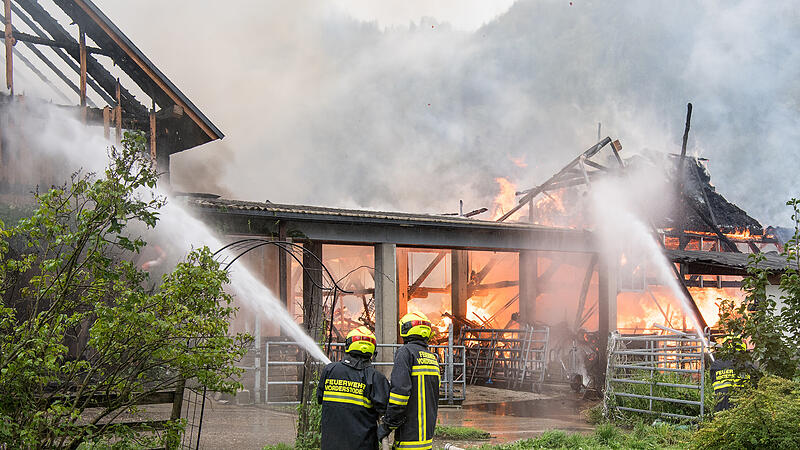 Elf Feuerwehren bei Bauernhof-Brand im Einsatz