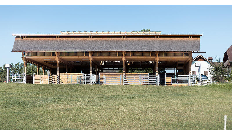 Ein Heim für besondere Rinder: Stall in Atzbach mit Bauherrenpreis prämiert