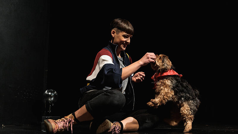 Vom Schoß- zum Theaterhund: Trauer um vierbeinigen Publikumsliebling