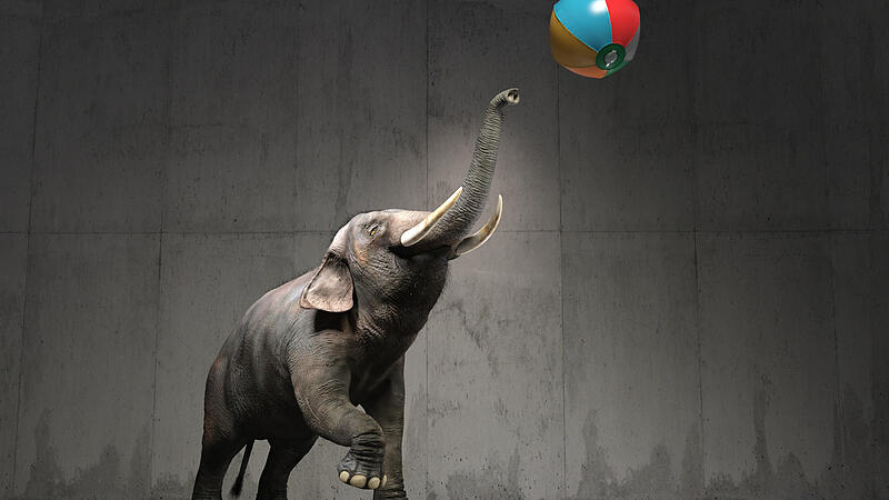 An elephant plays with a beach ball. This is a 3d render illustration (Orla)