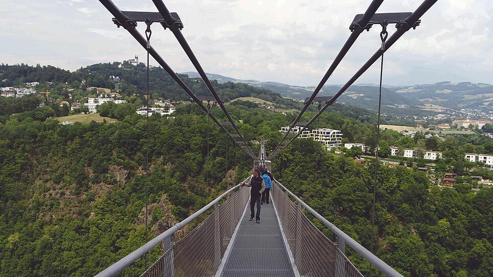 Hängebrücke: Langsam freundet sich auch der Linzer Zoo mit dem Projekt an
