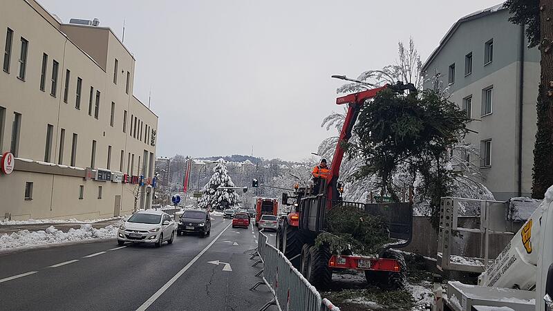 Enorme Schneelast auf den Bäumen: Park bleibt gesperrt
