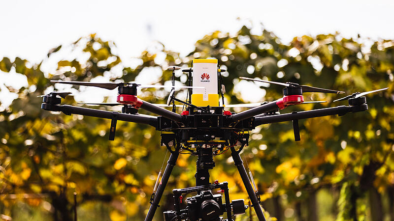 Wie Drohnen die Landwirtschaft smarter machen