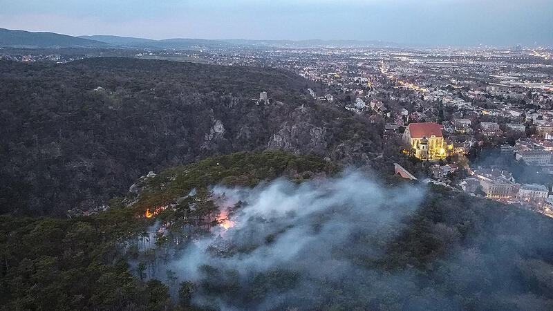 Feuerwehrgroßeinsatz bei Waldbrand nahe Mödling