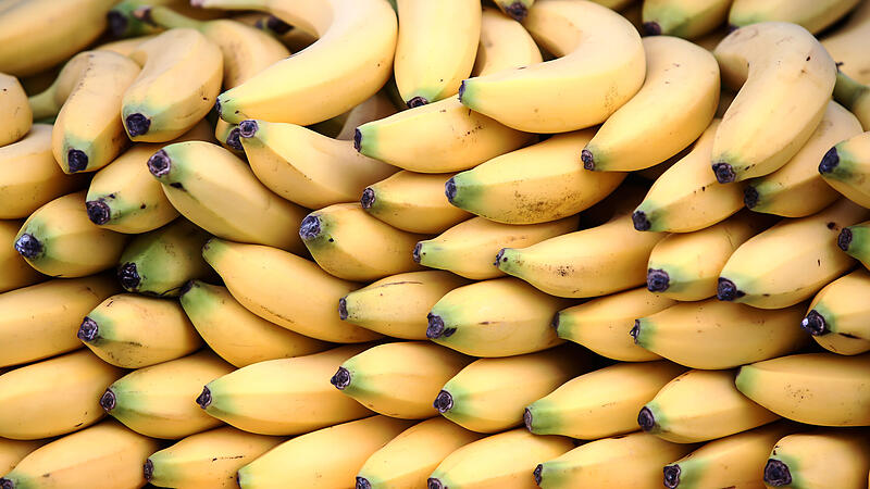 Gibt es bald keine Bananen mehr?