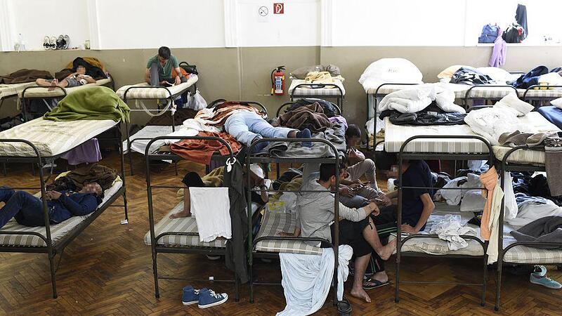 Asylsituation spitzt sich zu: Massenschlägerei in Traiskirchen