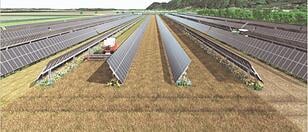 EWS Sonnenfeld: Sonnenstrom und Lebensmittel am Feld erzeugen