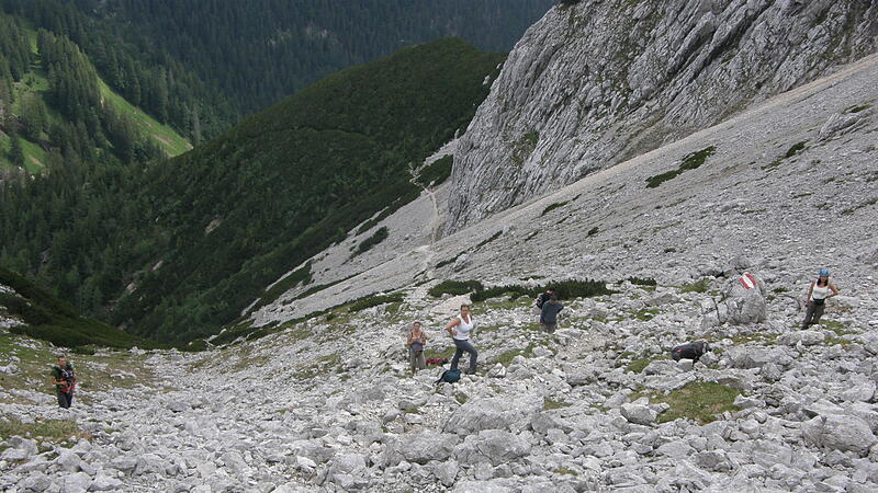 Den Alpinisten unter den Schnecken auf der Spur